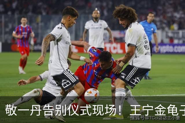 敬一丹告别仪式现场！王宁金龟子现身送别，多位主持人忍不住哭泣